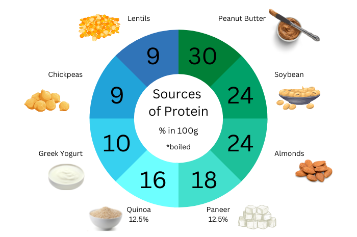 10 High Protein Vegetarian Foods